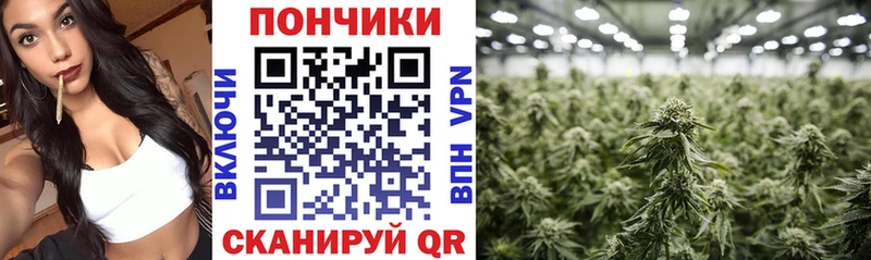 Купить наркотики цена Химки СК Меф мяу мяу ГАШИШ