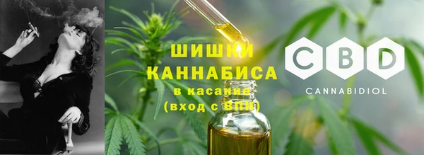 прущие крисы Пересвет