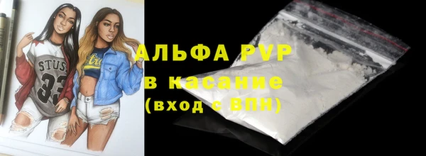 прущие крисы Пересвет