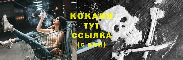 прущие крисы Пересвет