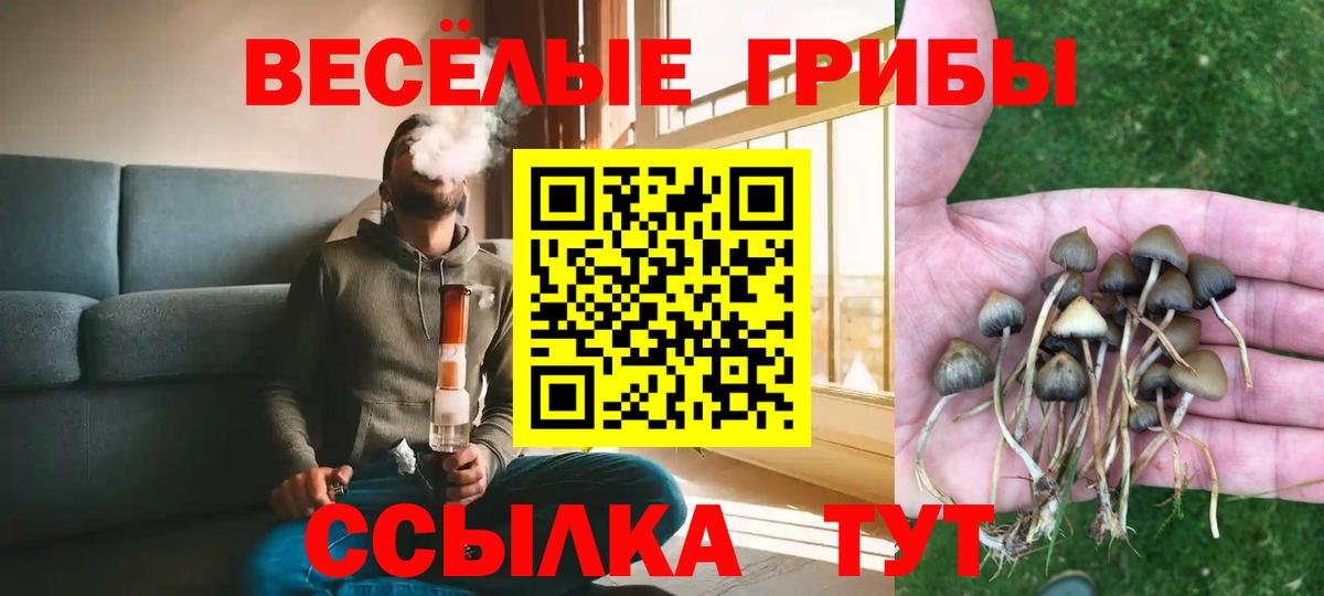 Псилоцибиновые грибы ЛСД Химки