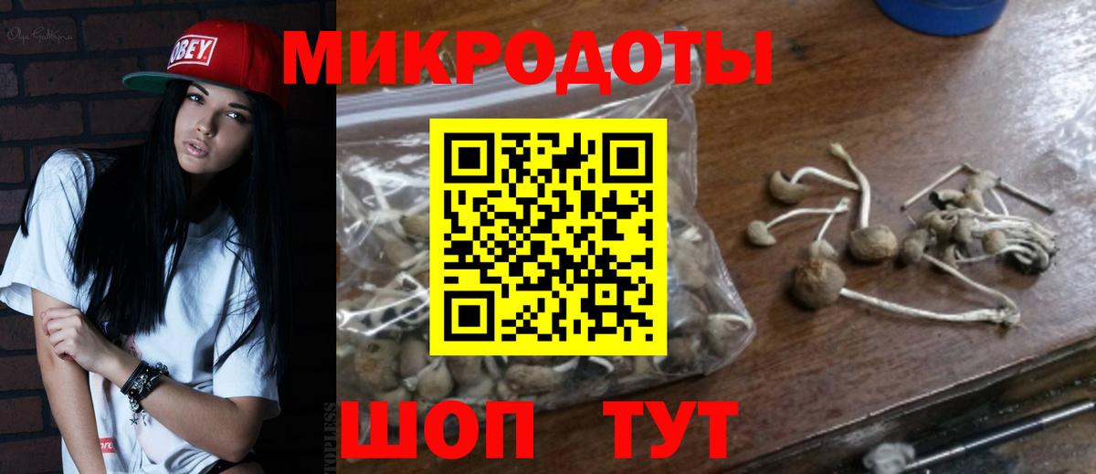 Галлюциногенные грибы Psilocybe  Химки 