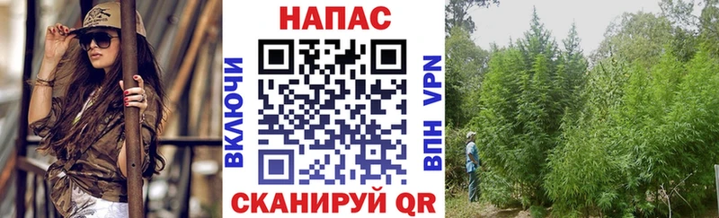 Шишки марихуана индика Химки